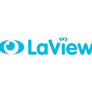 Laviewsecurity.com