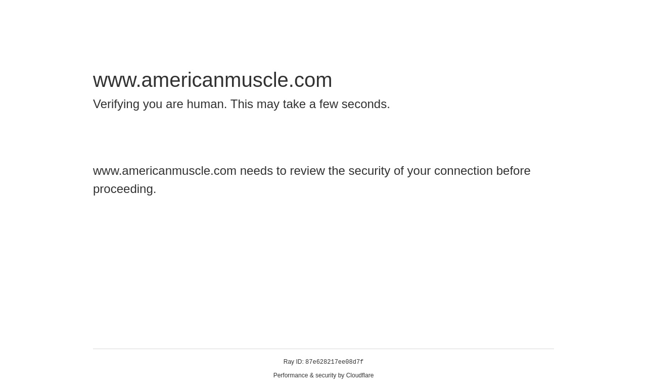American Muscle.com